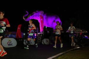 BIB: 
                            <button type="button" onclick="openModal(26543555)" class="btn btn-primary btn-sm float-right btn-popup" data-toggle="modal" data-target=".modal-high-quality">
                        <i class="fas fa-shopping-cart"></i> Add to Cart
                    </button>
                                            <button type="button" onclick="isThisMe(26543555, true)" class="btn btn-success btn-sm float-right btn-popup btn-isme hidden" data-toggle="tooltip" data-placement="bottom" title="นี่คือรูปของคุณใช่ไหม คลิกที่นี่เพื่อเอาเข้าอัลบั้ม">
                        <i class="fas fa-plus"></i> Add to album
                    </button>
                    <button type="button" onclick="isThisMe(26543555, false)" class="btn btn-warning btn-sm float-right btn-popup btn-isnotme hidden">
                        <i class="fas fa-ban"></i> Remove from album
                    </button>